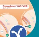 asserachrom vwffviiib